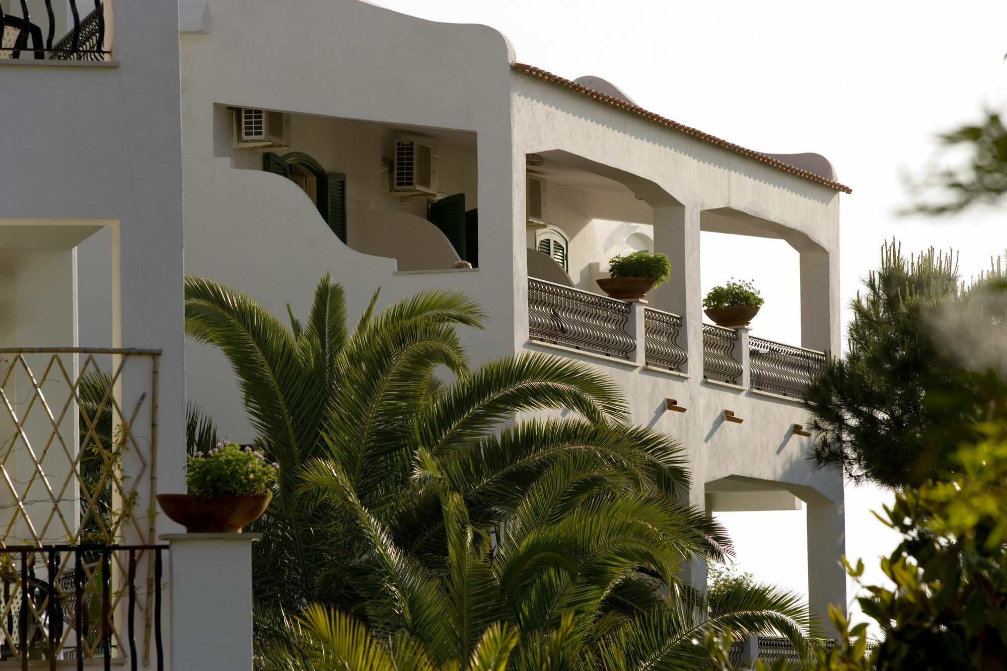 Hotel Parco Maria Terme Forio (Isola d'Ischia) Exterior foto